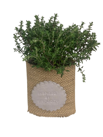 PLANTA VIVA "RACÓ NATURAL" - Imatge 5