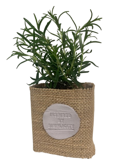 PLANTA VIVA "RACÓ NATURAL" - Imatge 4